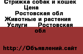 Стрижка собак и кошек › Цена ­ 1 000 - Ростовская обл. Животные и растения » Услуги   . Ростовская обл.